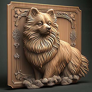 3D model Keeshond dog (STL)